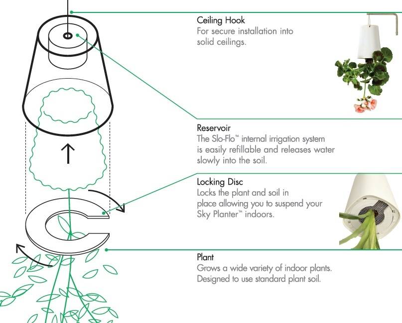 Sky Planter Infographic